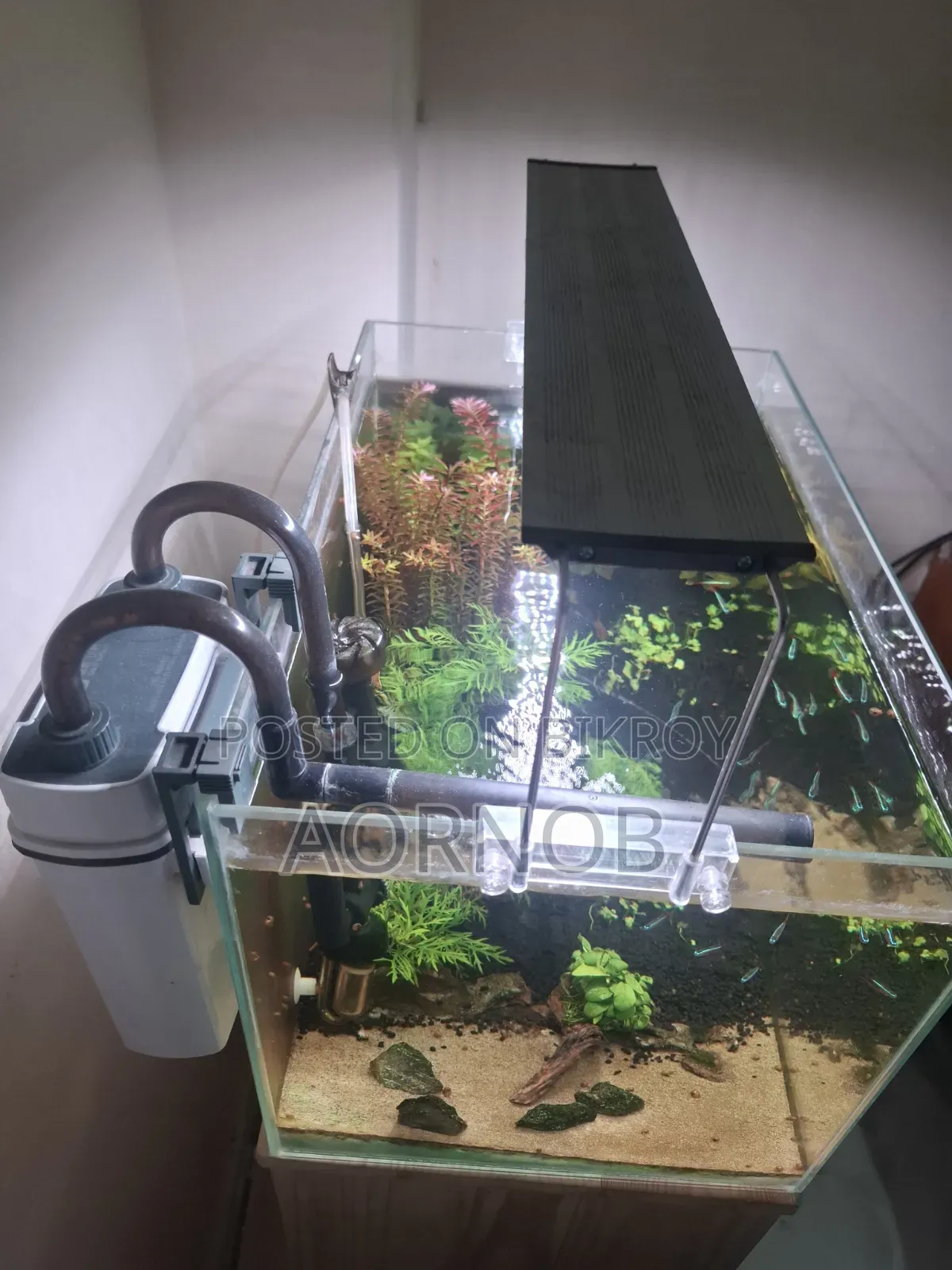অ্যাকোয়ারিয়াম ফুল সেটআপ বিক্রি
