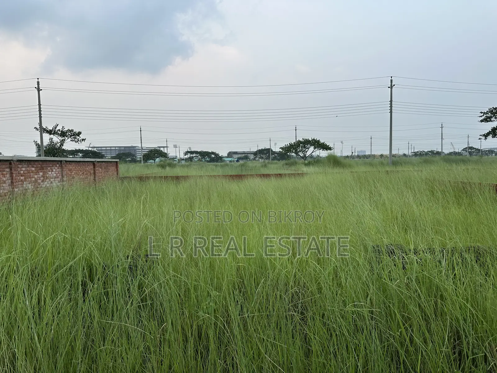 Block-P, 3-Katha, South-facing, Urgent Sale, Bashundhara R/A