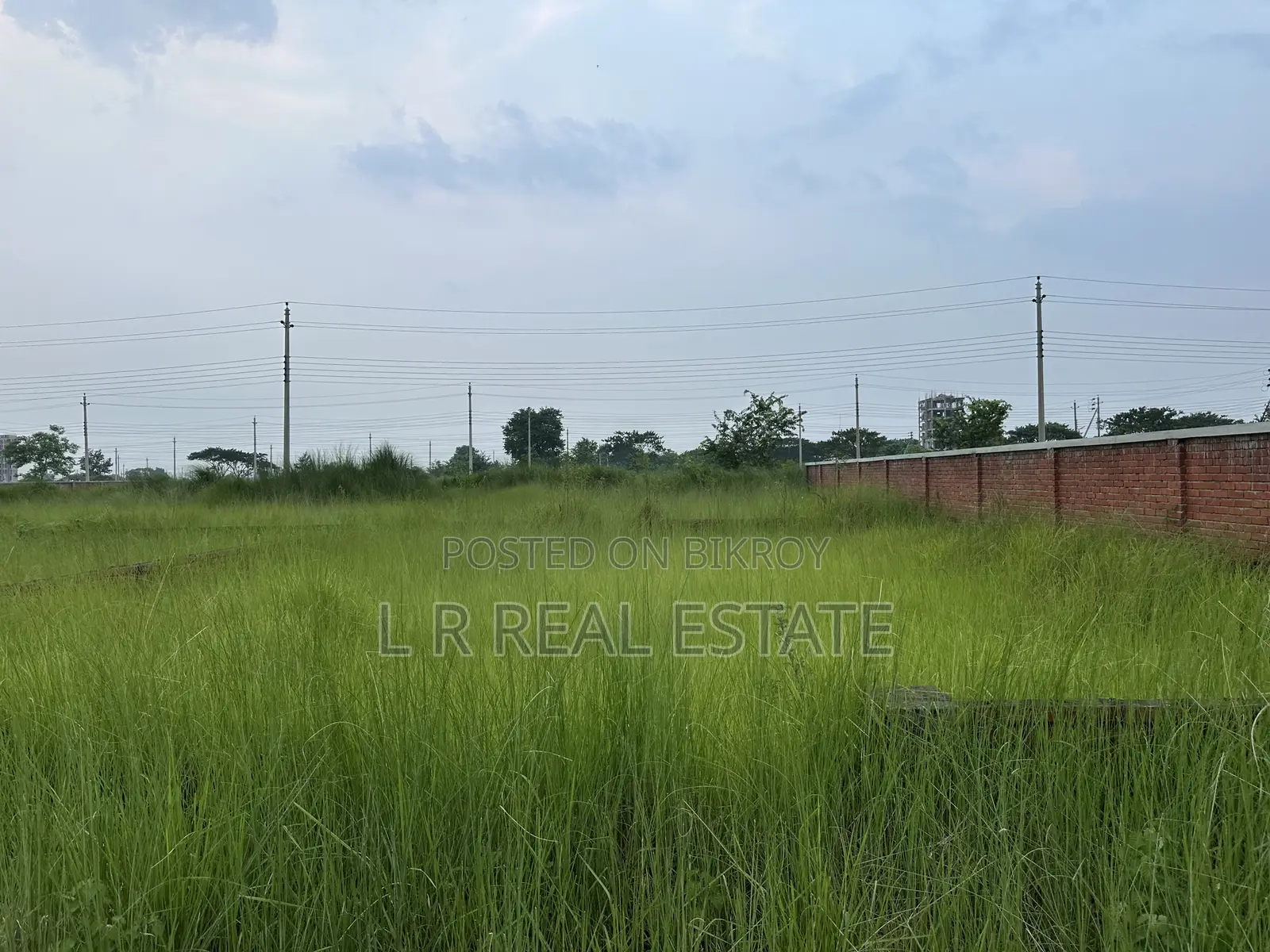Block-P, 3-Katha, South-facing, Urgent Sale, Bashundhara R/A