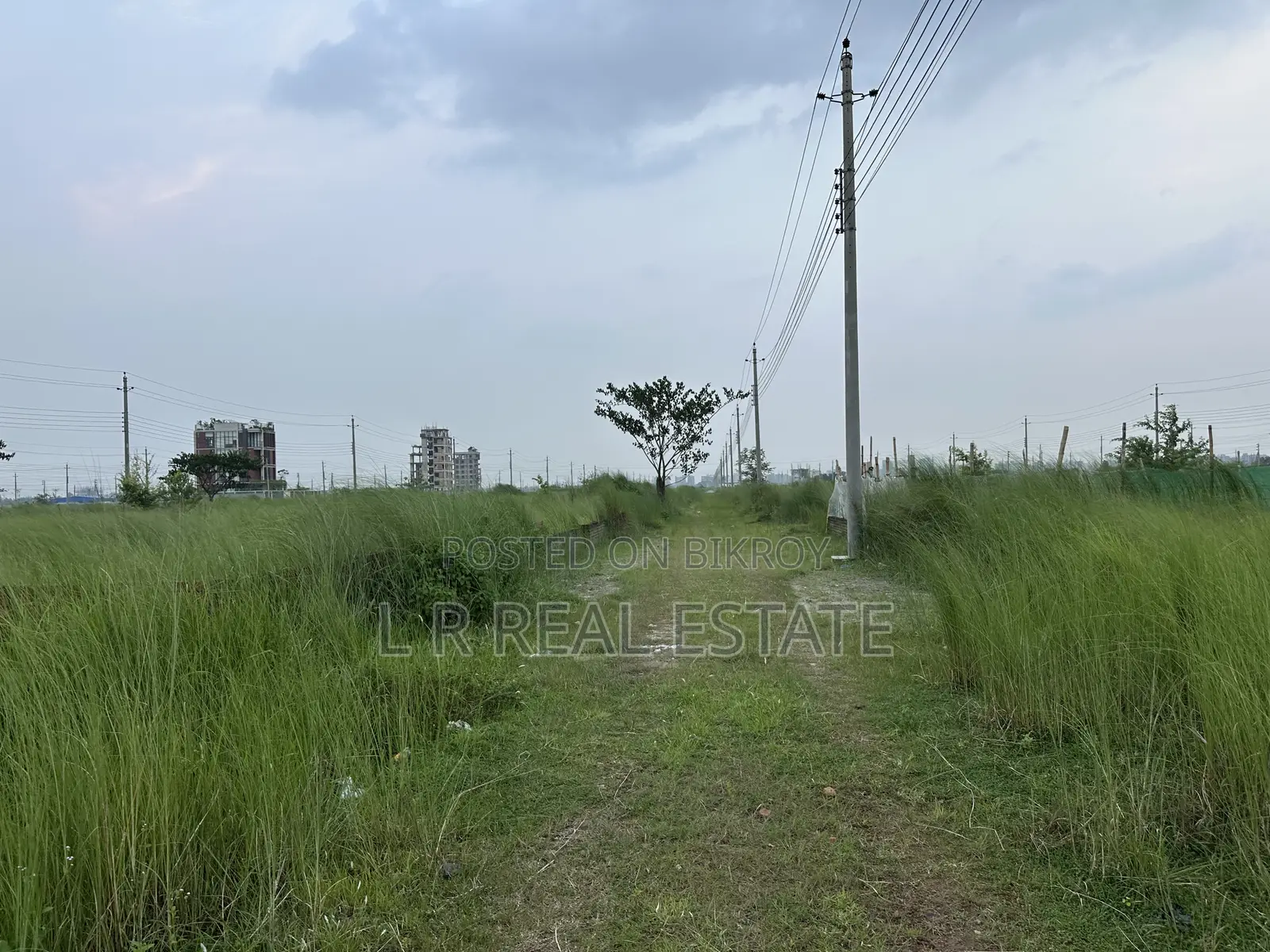 Block-P, 3-Katha, South-facing, Urgent Sale, Bashundhara R/A