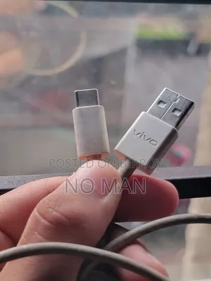 Vivo Original Cable