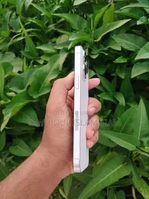 অ্যাপল আইফোন ১৪ প্রো ম্যাক্স ১২৮ জিবি