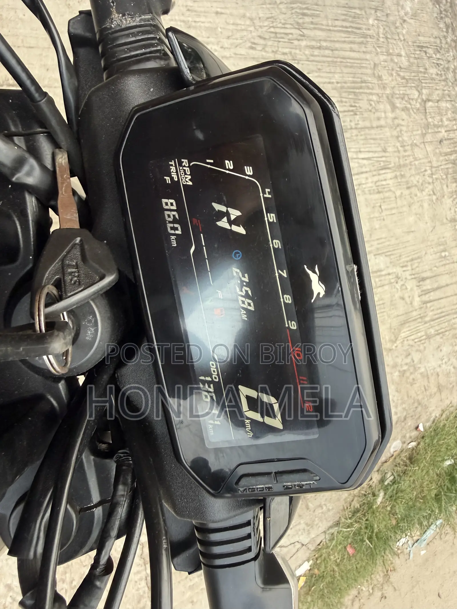 TVS Raider 125 2022 Blue