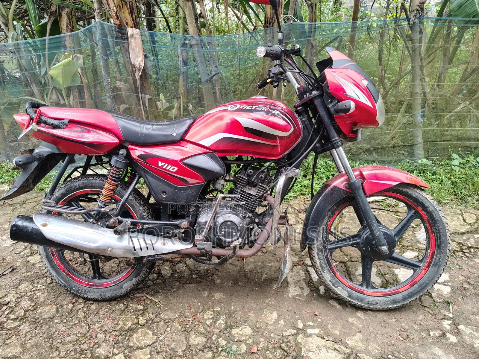Victory Hammer 2013 Red