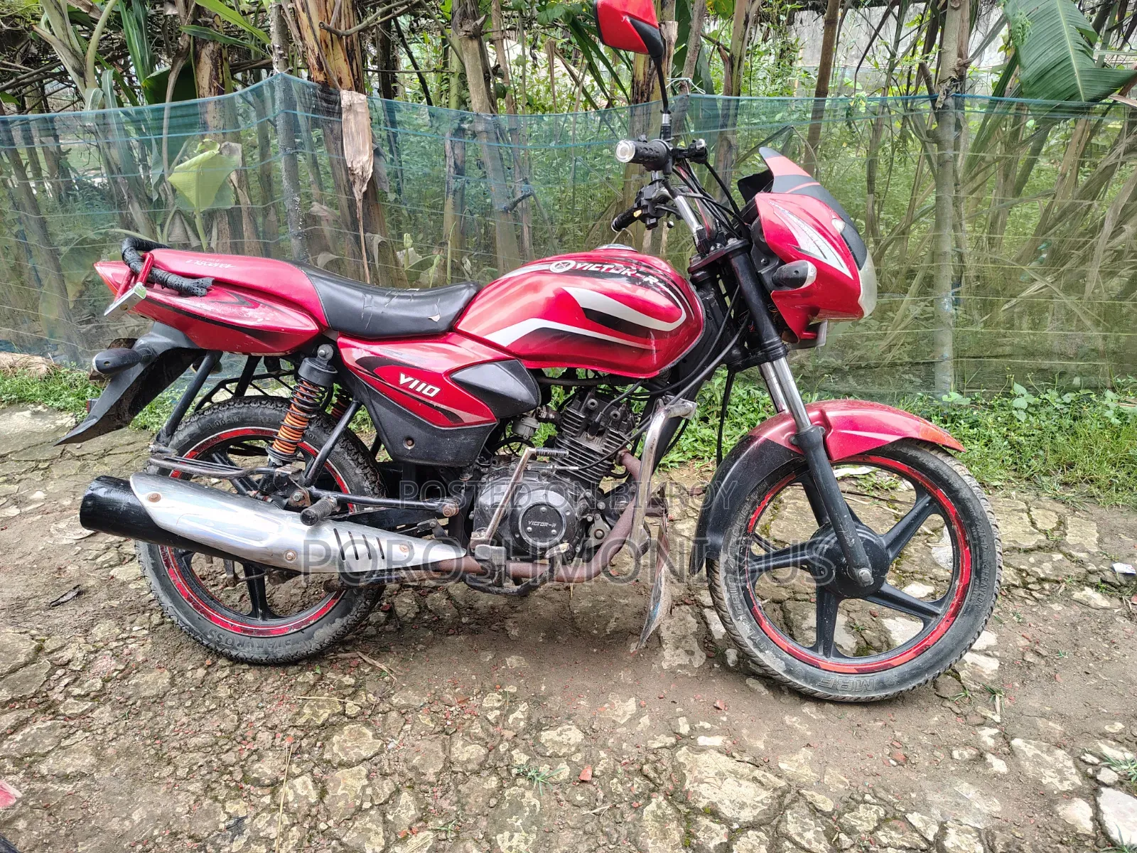 Victory Hammer 2013 Red