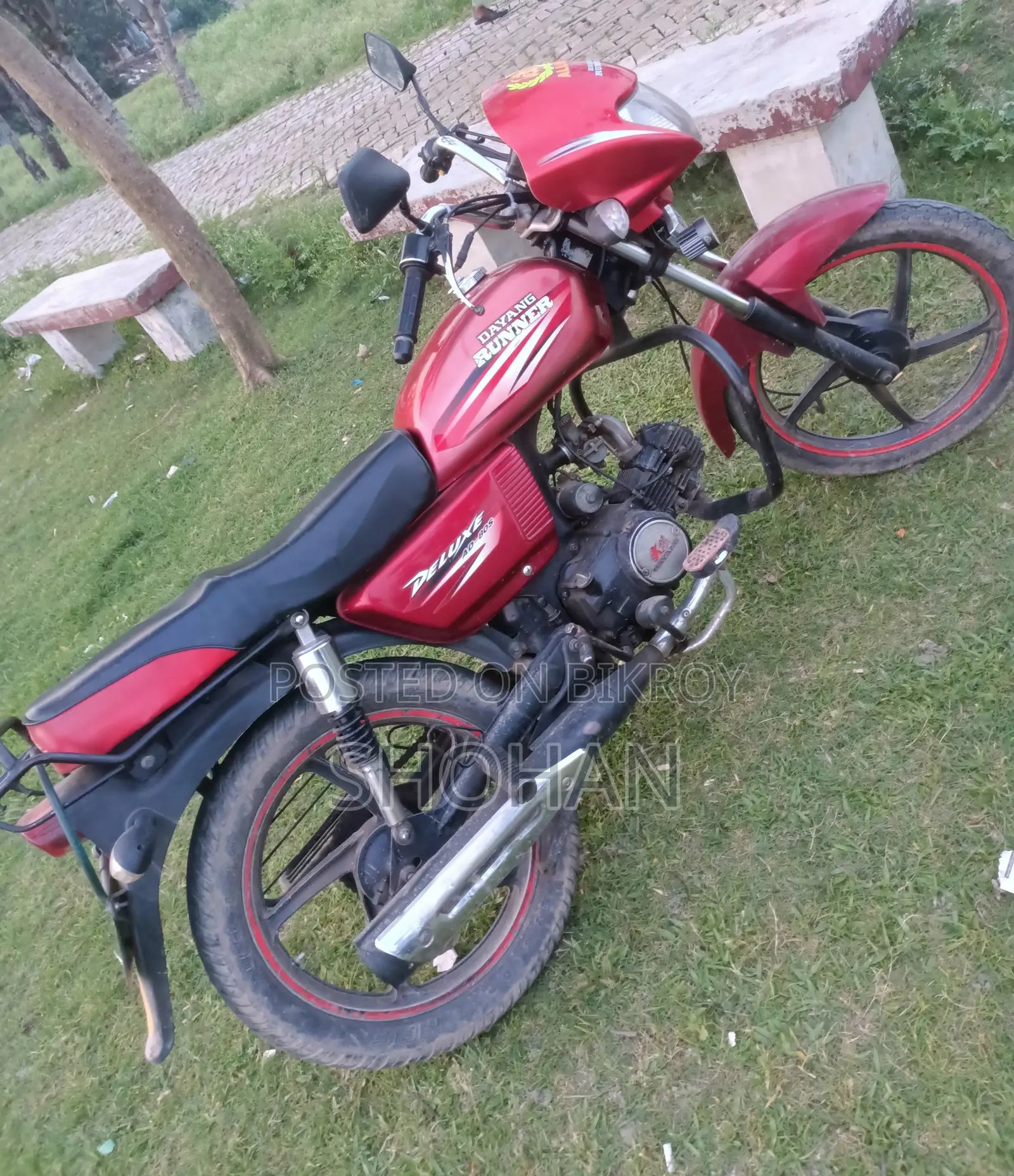 Runner AD80S-DELUXE 2019 Red