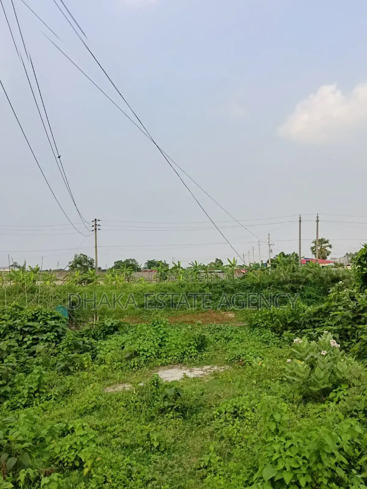 Urgent Block-P, North Facing 5 Katha Plot Sale
