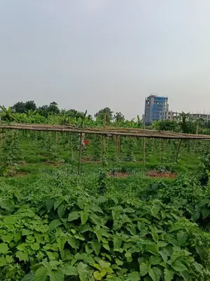 Urgent Block-P, North Facing 5 Katha Plot Sale
