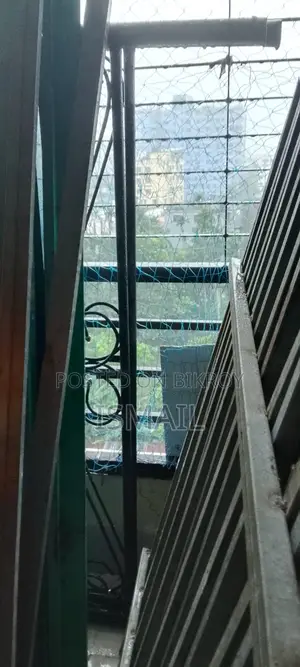 Metal Bed