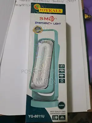 চার্জার লাইট