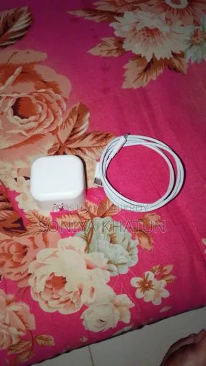 iPhone Charger