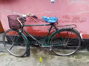 Bicycle, need money, selling it