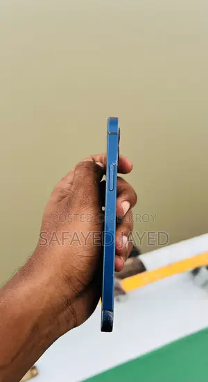 অ্যাপল আইফোন ১২ ৬৪ জিবি নীল
