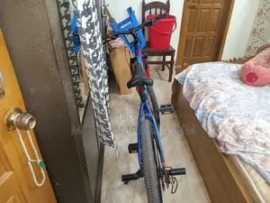 Used Only 4 Month. There Are No Scratches on the Bicycle.