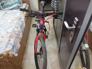 Used Only 4 Month. There Are No Scratches on the Bicycle.
