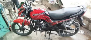 Hero Passion Pro 2012 Red