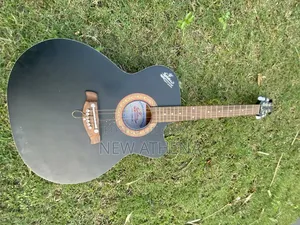 Acoustic Guitar