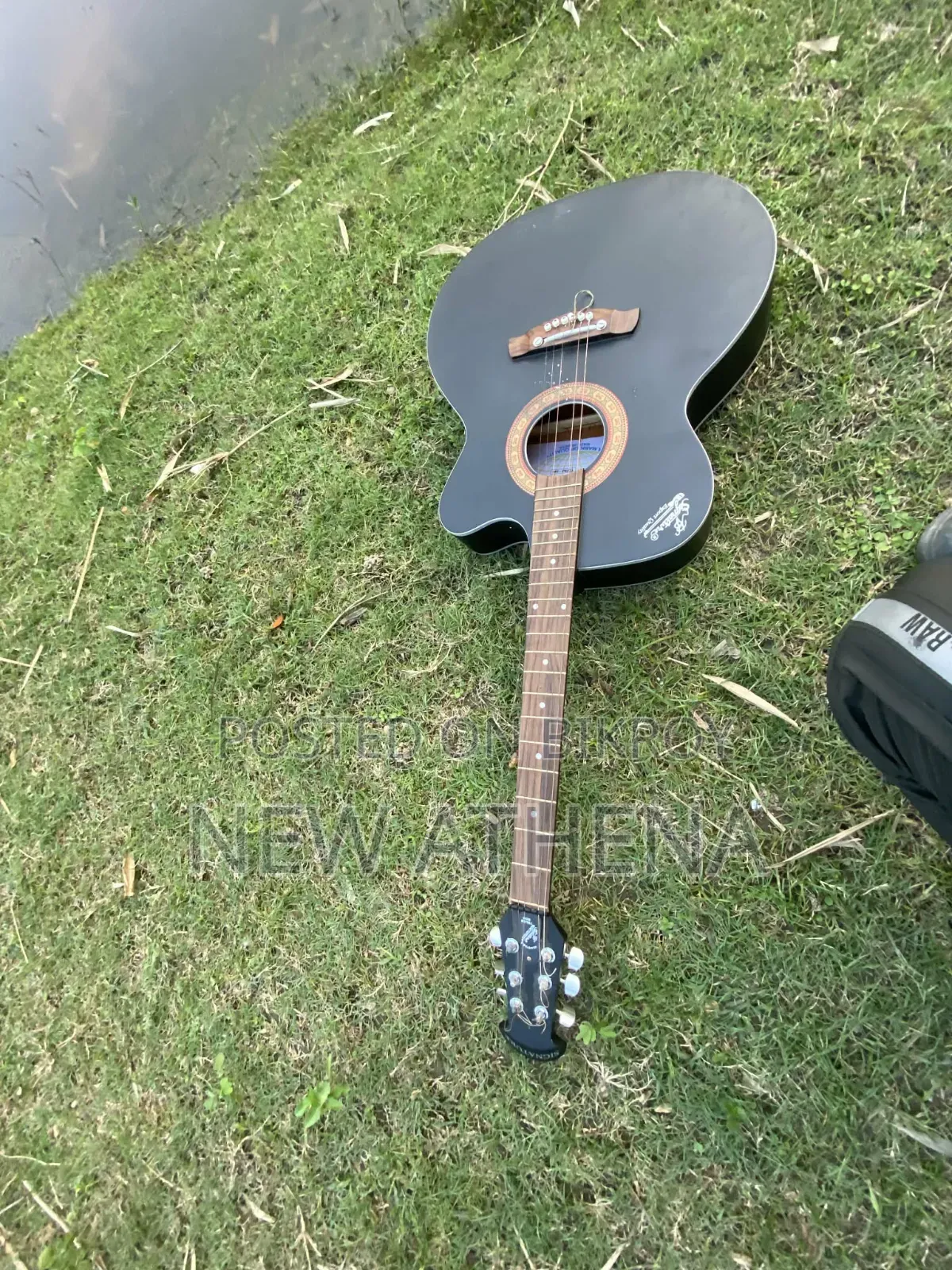 Acoustic Guitar