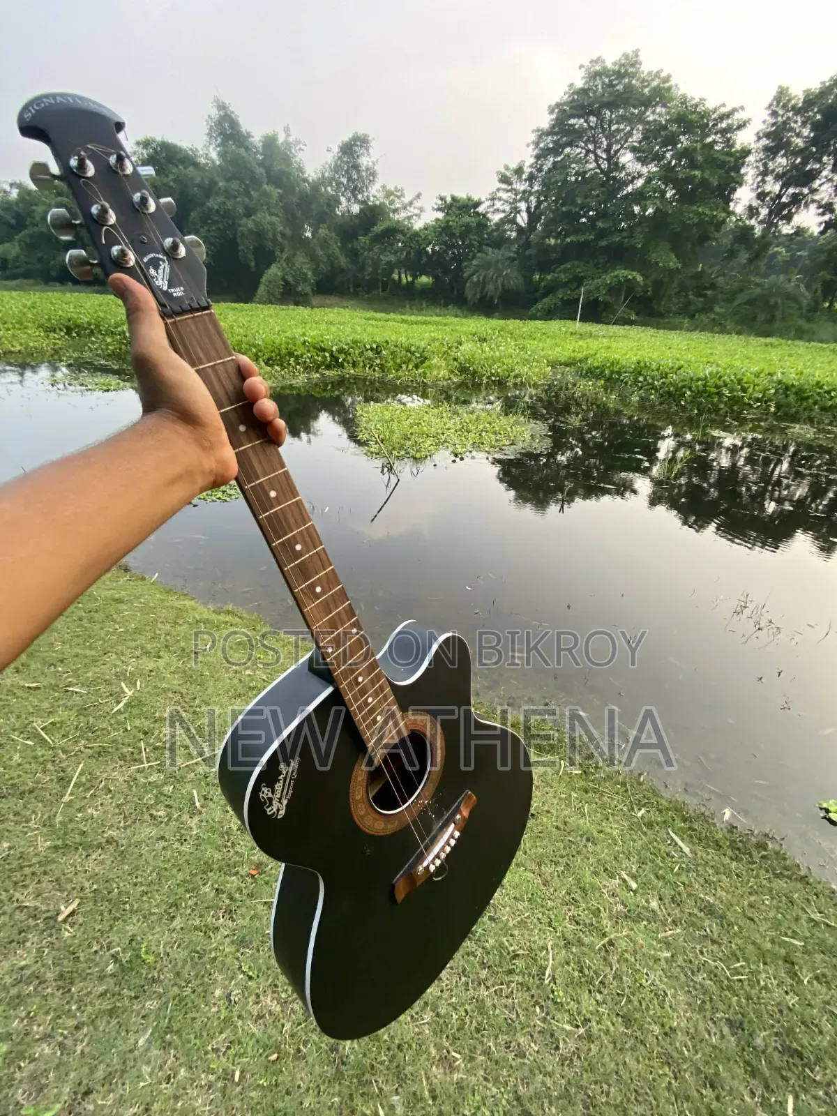 Acoustic Guitar