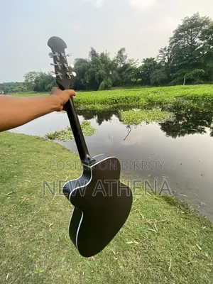 Acoustic Guitar