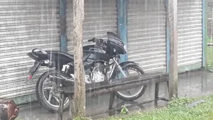Bajaj Pulsar 150 2009 Black