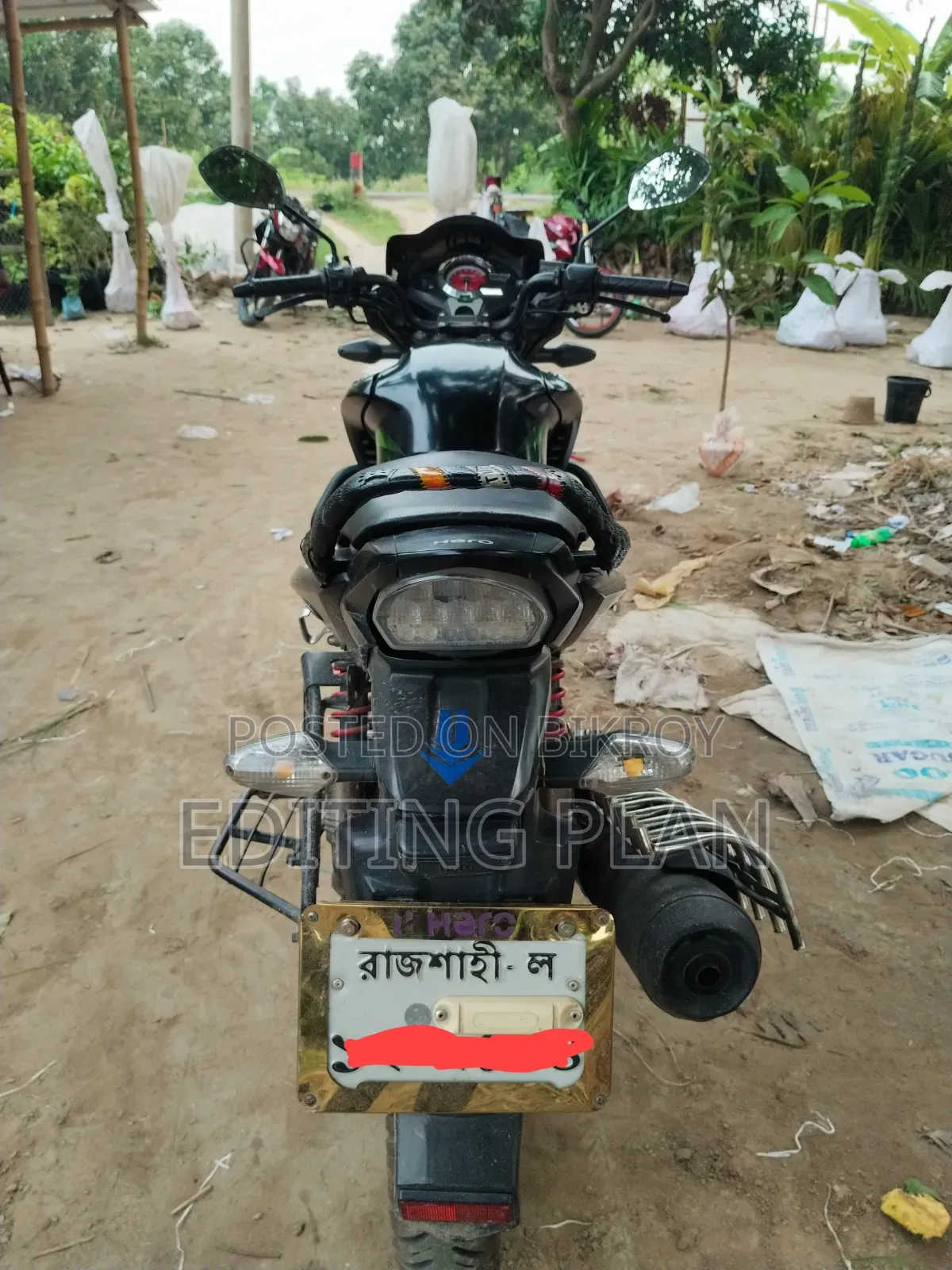 হিরো হাঙ্ক ২০২০ গ্রিন