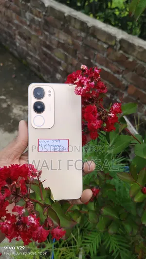 Vivo Y29 256 GB