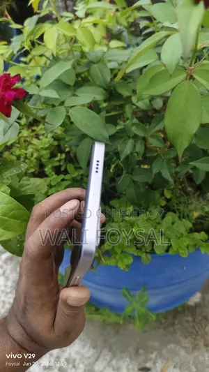 Vivo Y29 256 GB