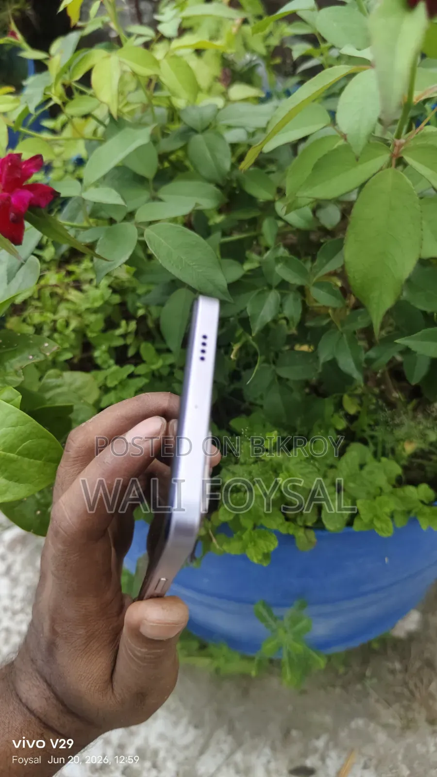 Vivo Y29 256 GB