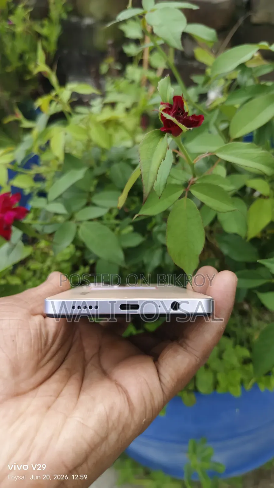 Vivo Y29 256 GB