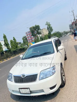 Toyota Corolla Fielder 2004 White