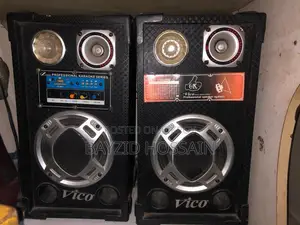 প্রফেশনাল ডিজে স্পিকার