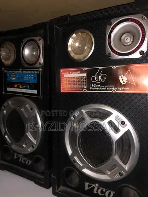 প্রফেশনাল ডিজে স্পিকার