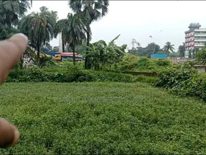 বারইরহাট ইউটার্নের সাথে