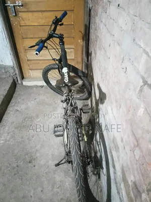Phoenix Cycle