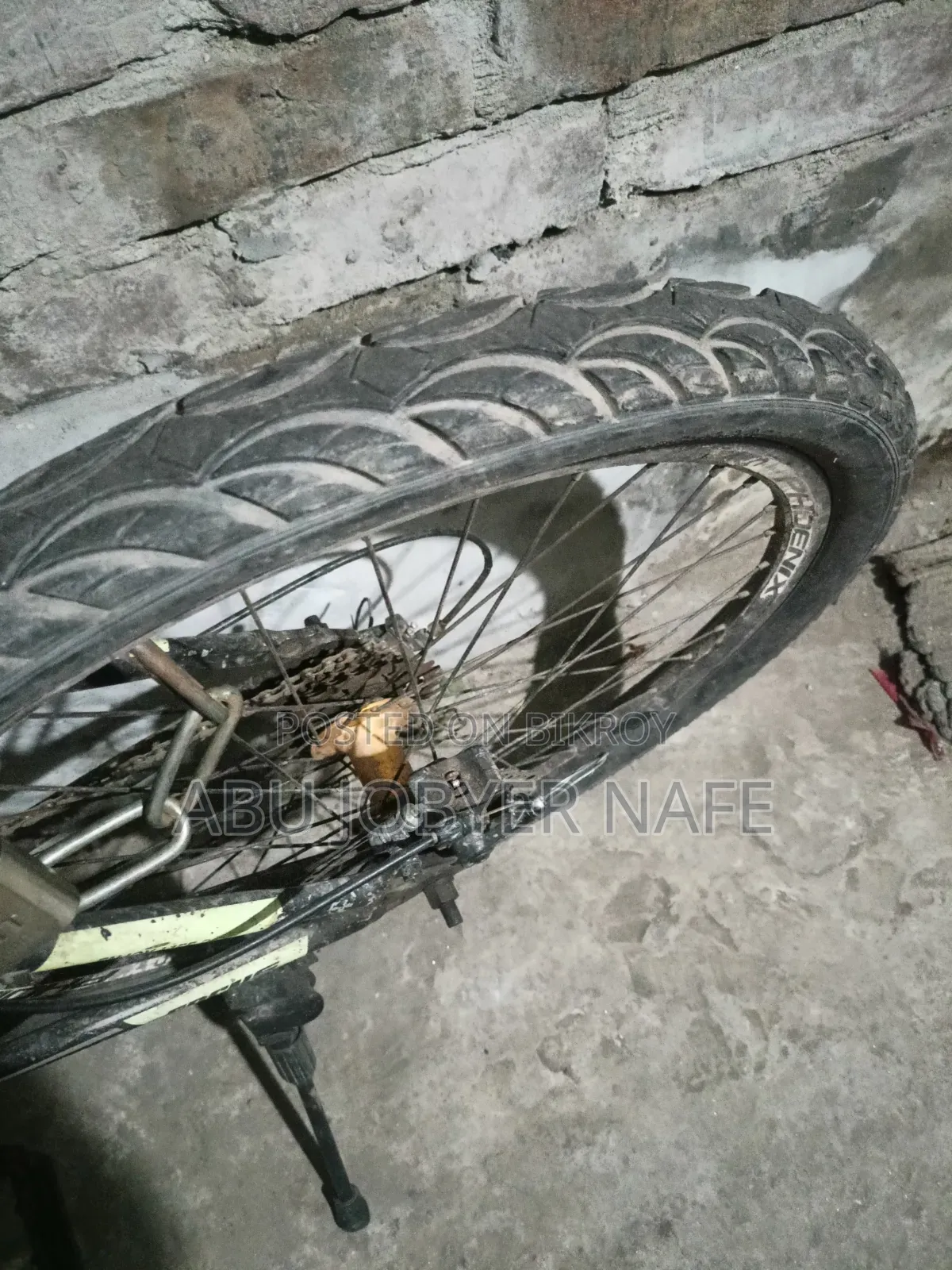 Phoenix Cycle
