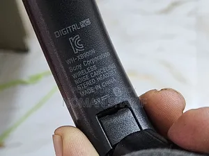 Sony WH-XB900N