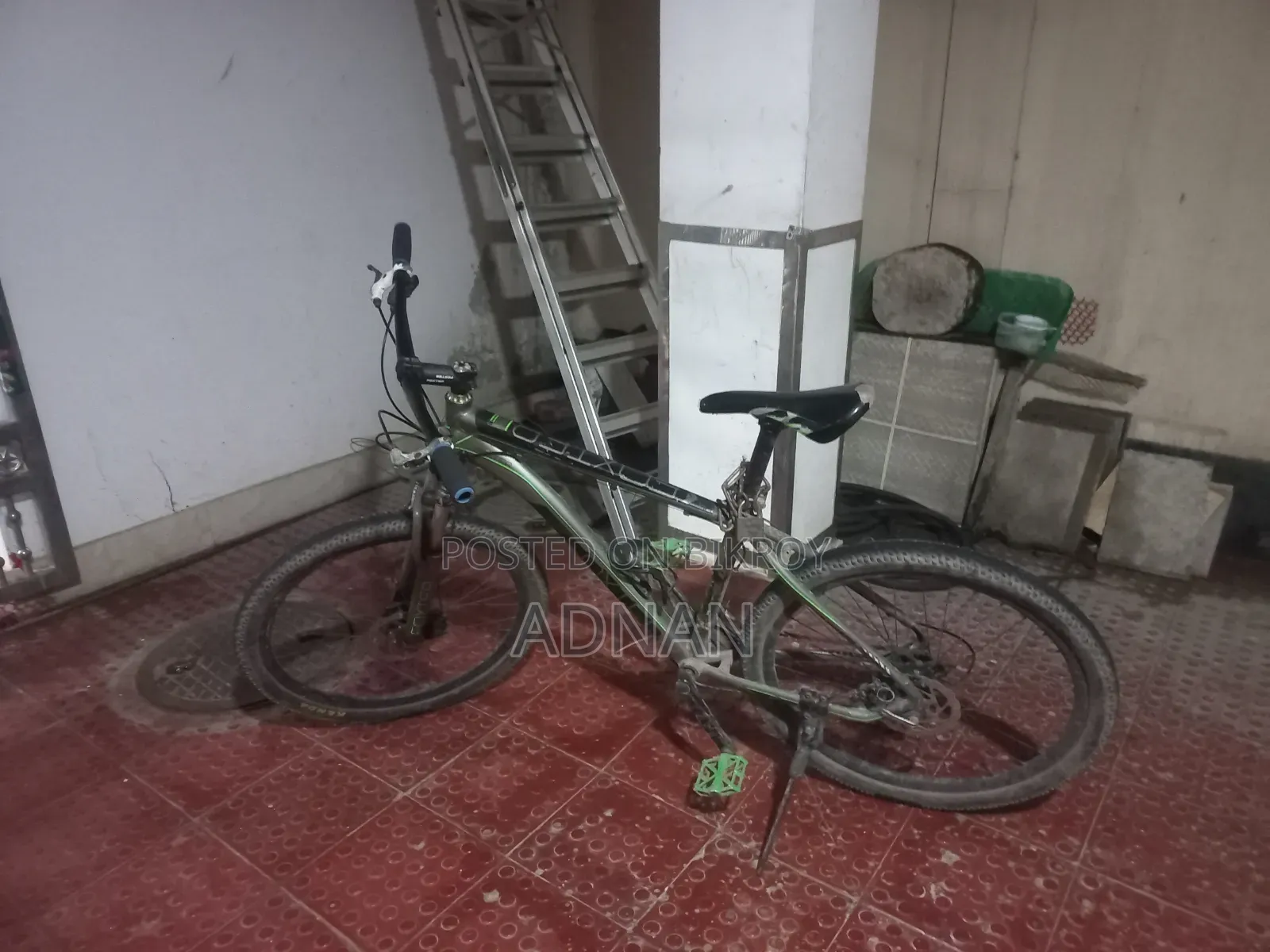 Foxstar Cycle