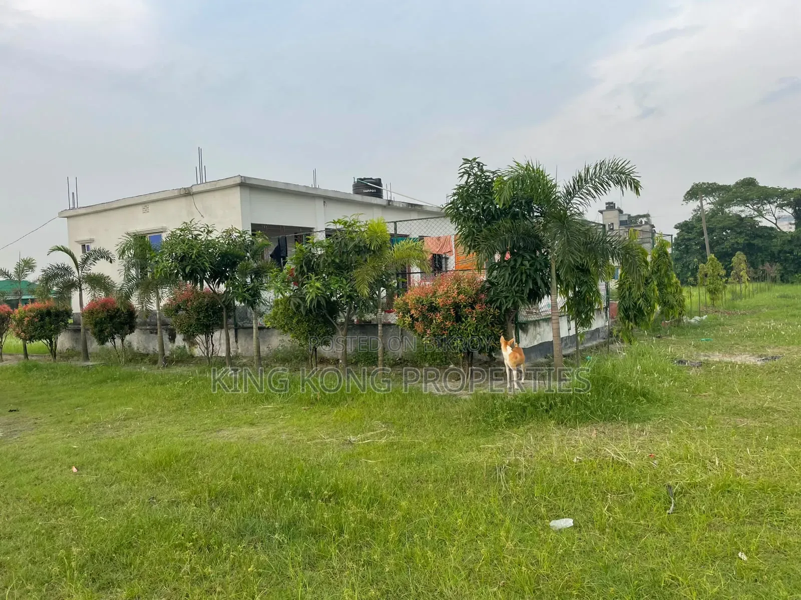 Get a ready plot near Army Housing Jolsiri beside Bashundhara