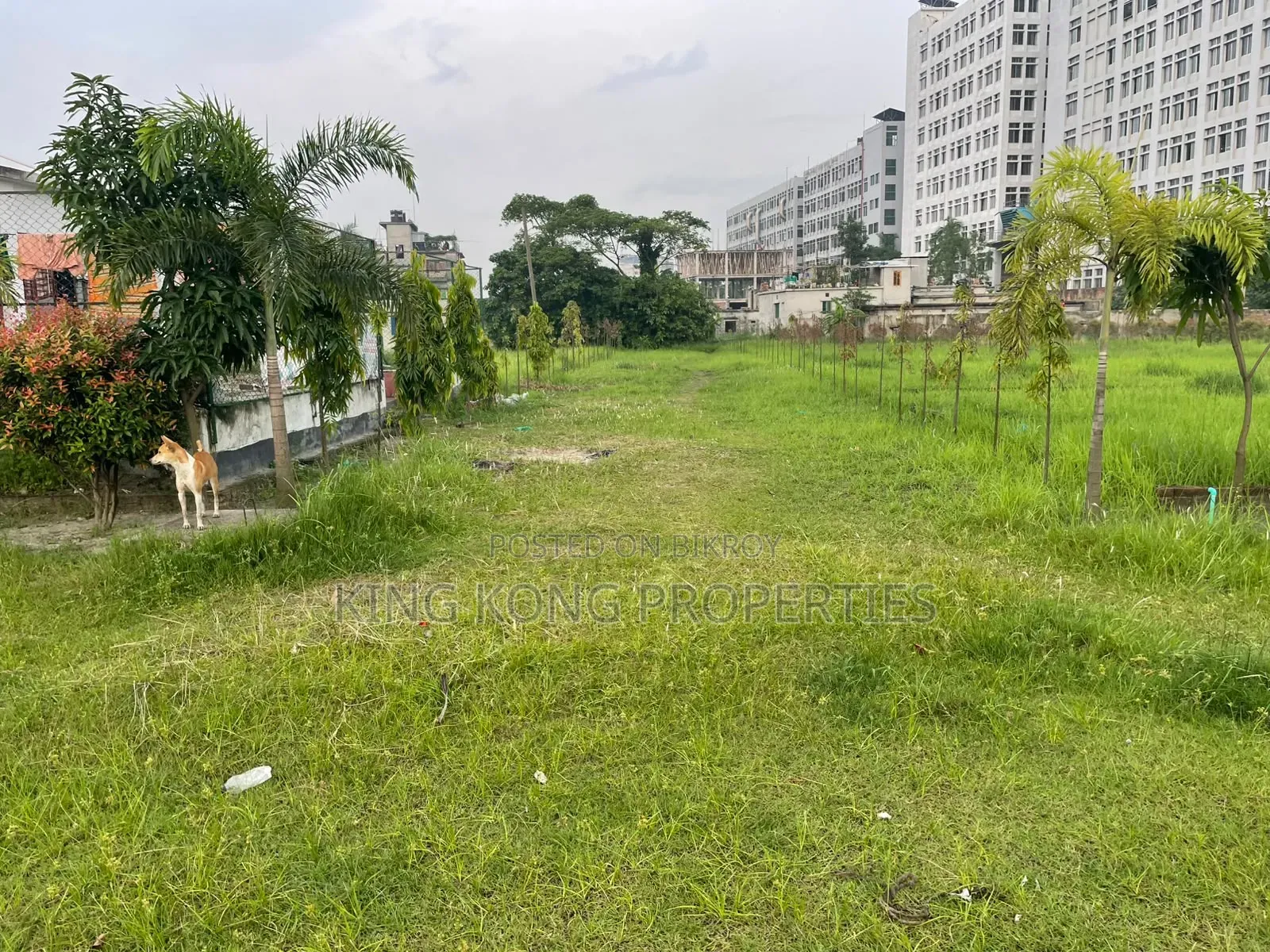 Get a ready plot near Army Housing Jolsiri beside Bashundhara