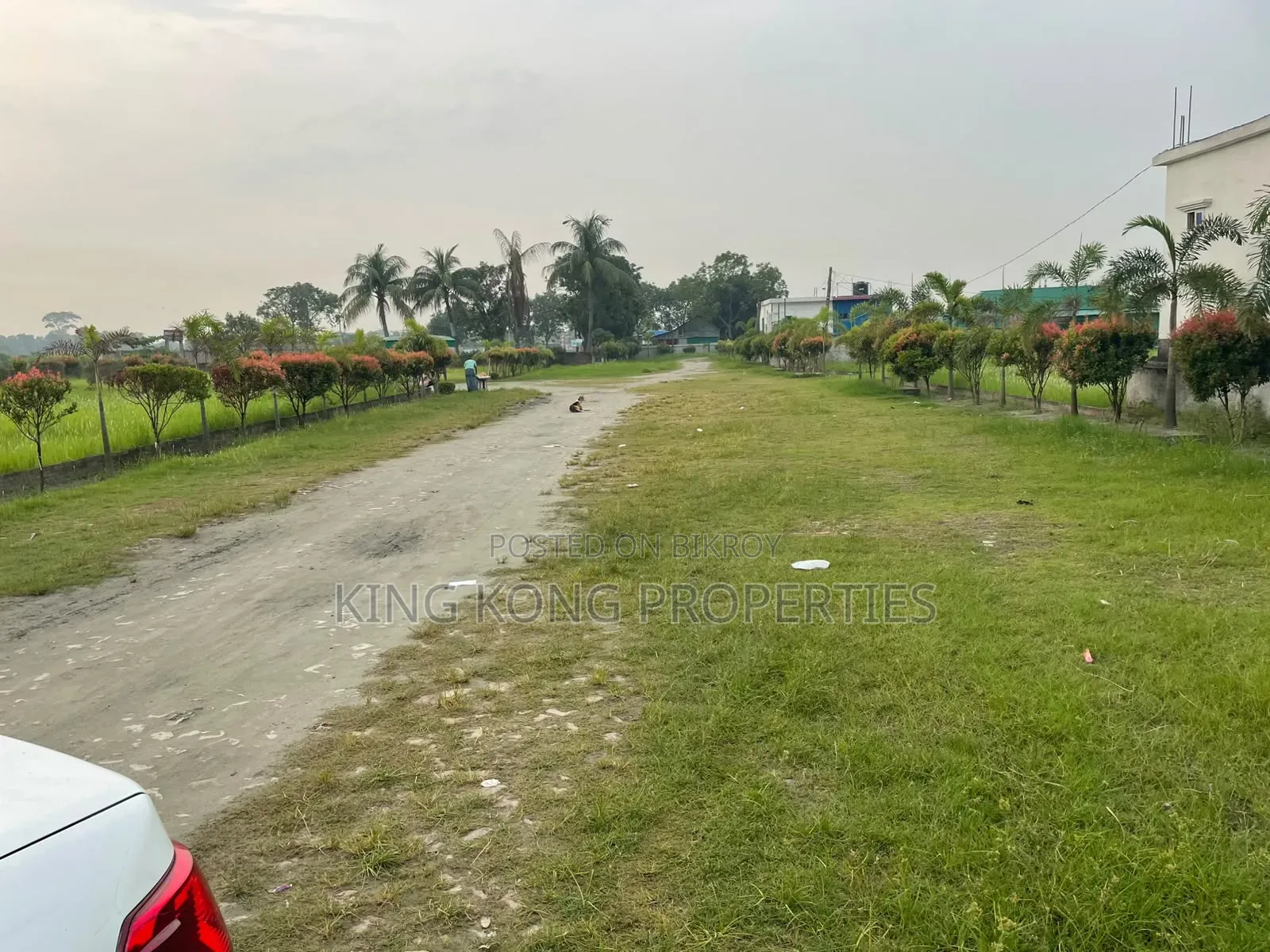 Get a ready plot near Army Housing Jolsiri beside Bashundhara