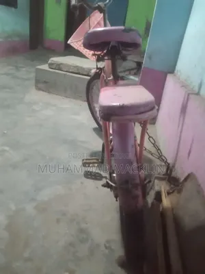 Ladies Cycle
