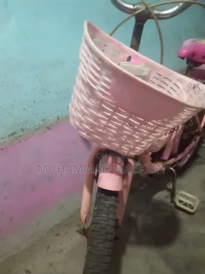 Ladies Cycle