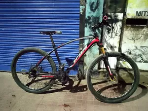 Bicycle Skybike