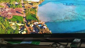 Sony 65" Led Tv