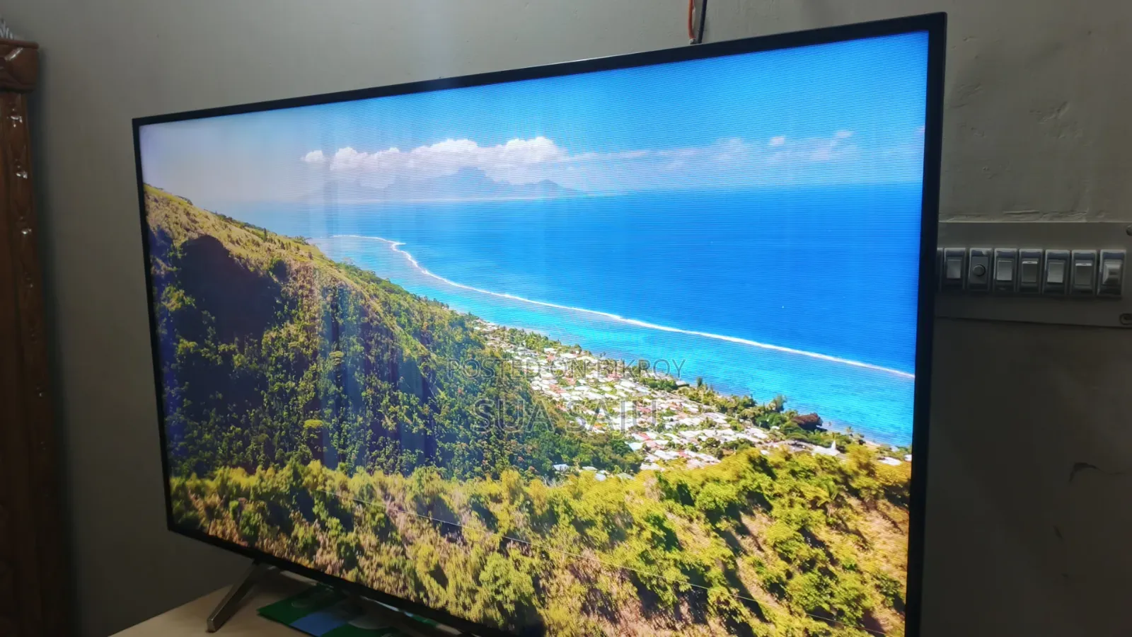 Sony 65" Led Tv