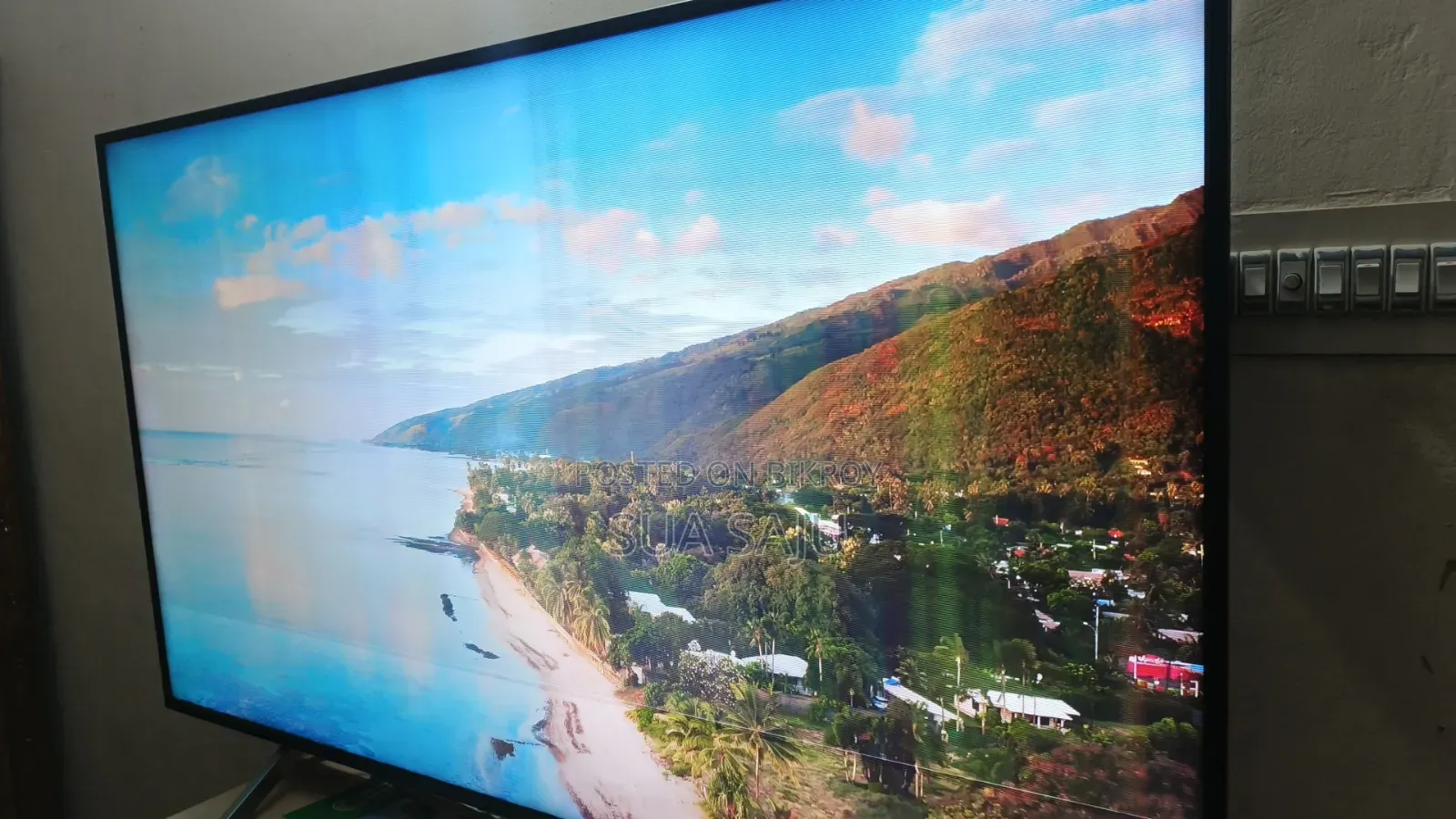 Sony 65" Led Tv