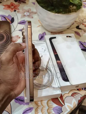 Apple iPhone 16 Pro Max 256 GB Gold
