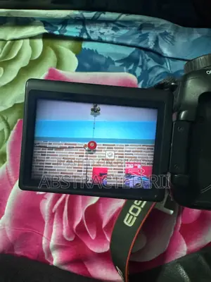 Canon 60d Dslr