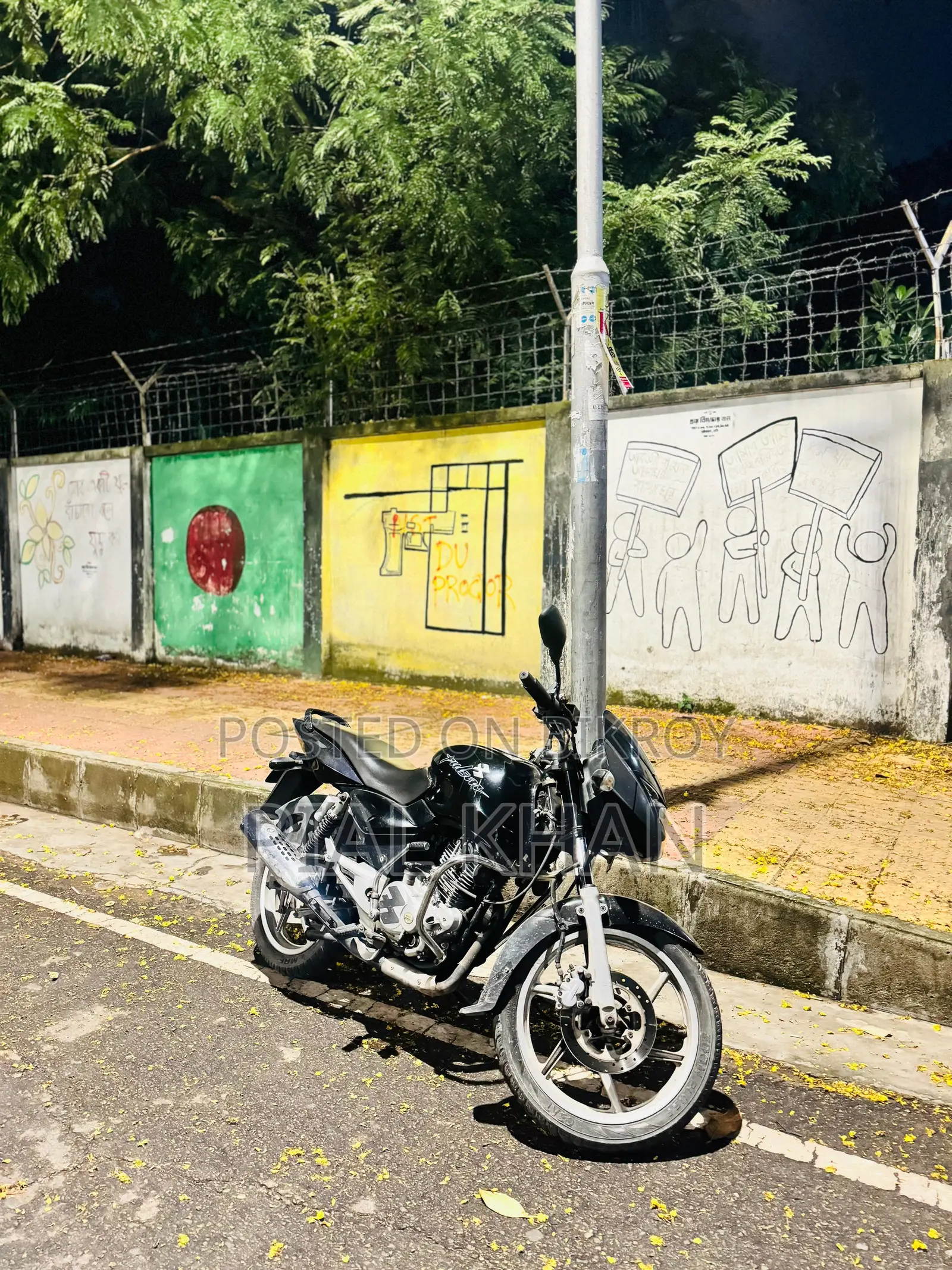 Bajaj Pulsar 150 2009 Black